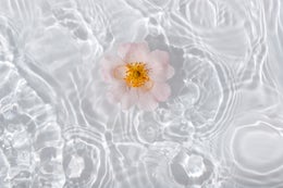 Intuitive Skin Radiance Tonic Lotion